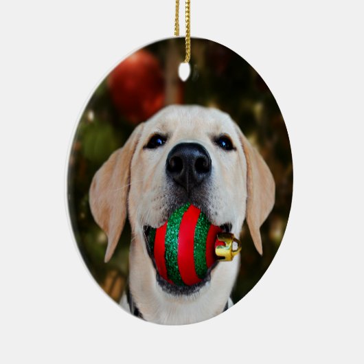 Yellow lab-kerstbal keramisch ornament (Rechts)