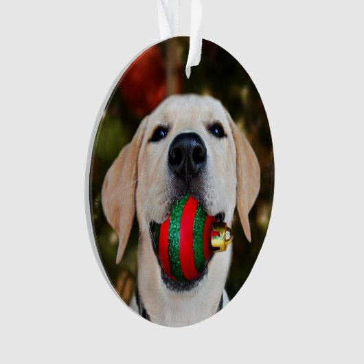 Yellow lab-kerstbal ornament (voorkant)