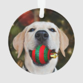 Yellow lab-kerstbal ornament (achterkant)