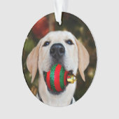 Yellow lab-kerstbal ornament (voorkant)