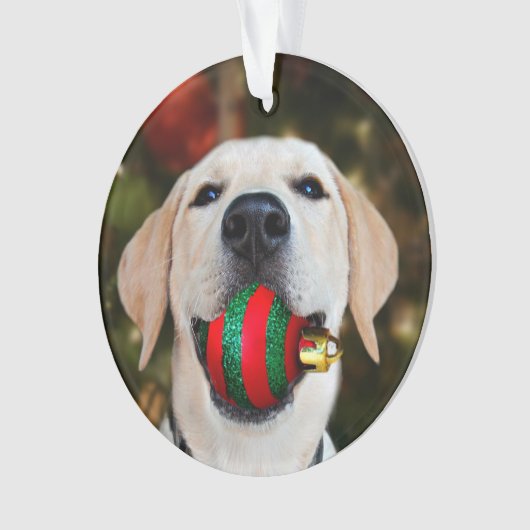 Yellow lab-kerstbal ornament (voorkant)