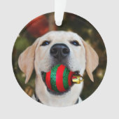 Yellow lab-kerstbal ornament (voorkant)