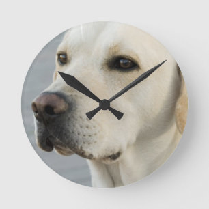 Yellow Lab-klok Ronde Klok