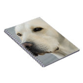 Yellow Lab-laptop Notitieboek (Rechterzijde)