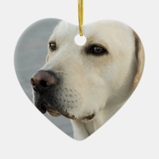 Yellow Lab Ornament (Voorkant)