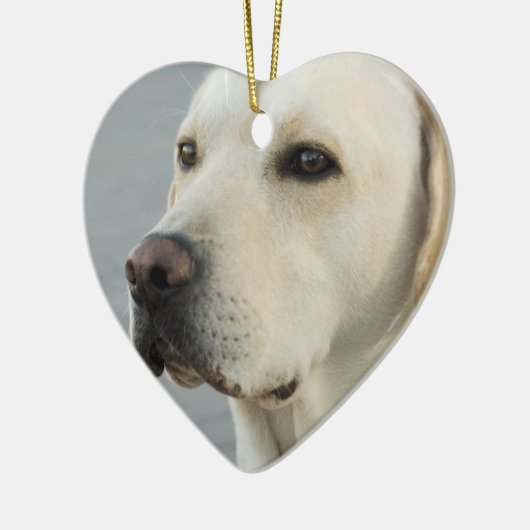 Yellow Lab Ornament (Links)