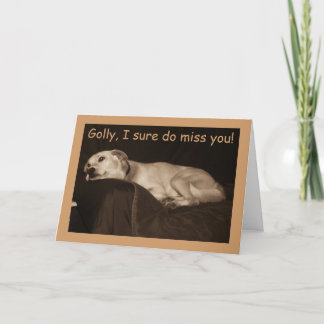 Yellow Lab Pit Husky Ik mis je Kaart