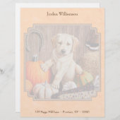 Yellow Lab Pup en Pumpkin Harvest Oranje Briefhoofd Sjabloon (Voorkant / Achterkant)