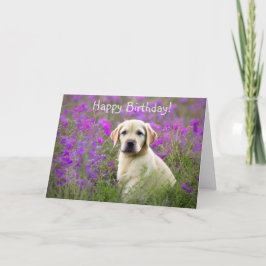 Yellow Lab Puppy Birthday Kaart