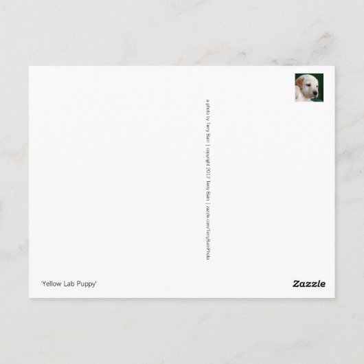 Yellow Lab Puppy Briefkaart (Achterkant)