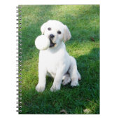 Yellow Lab Puppy Notitieboek (Voorkant)
