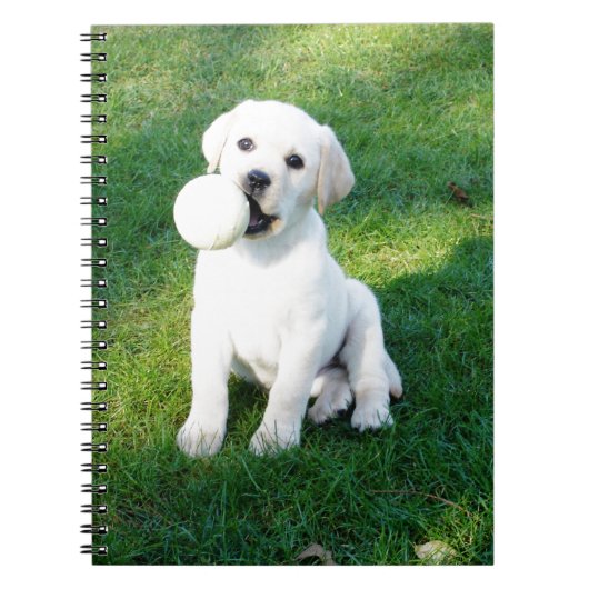 Yellow Lab Puppy Notitieboek (Voorkant)