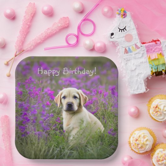 Yellow Lab Puppy Papieren Bordje (Feest)