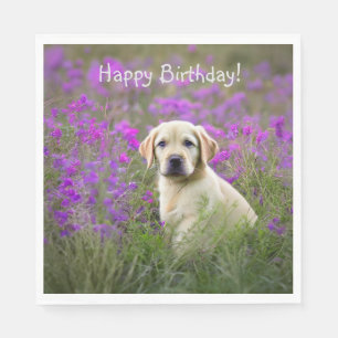 Yellow Lab Puppy Servet