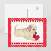 Yellow Lab Puppy Valentijnsdag kaart (Voorkant / Achterkant)