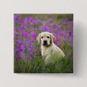 Yellow Lab Puppy Vierkante Button 5,1 Cm (Voorkant)