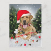 Yellow Lab Santa Paws Kaart (Voorkant)