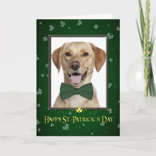 Yellow Lab St. Patrick's Day Kaart (Voorkant)