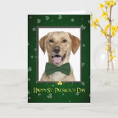 Yellow Lab St. Patrick's Day Kaart (Gele Bloem)