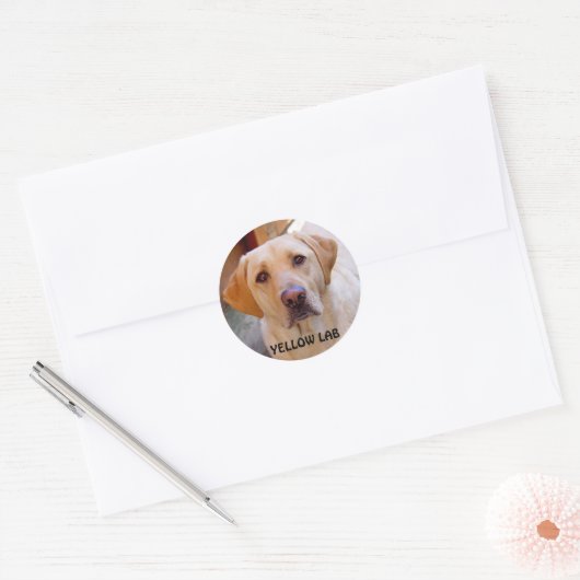 Yellow Lab Sticker (Envelop)
