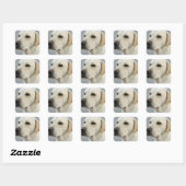 Yellow Lab Stickers (Vel)