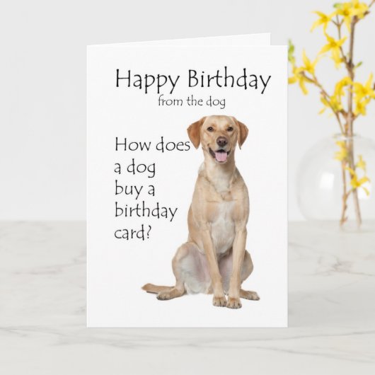 Yellow Lab Verjaardag Kaart (Gele Bloem)