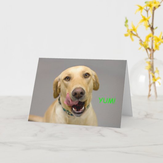 Yellow Lab Verjaardag Kaart door Focus for a Cause (Gele Bloem)