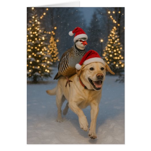Yellow Labrador and Partridge Christmas card (Voorkant)