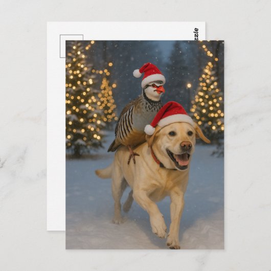 Yellow Labrador and Partridge Christmas postcard Briefkaart (Voorkant / Achterkant)