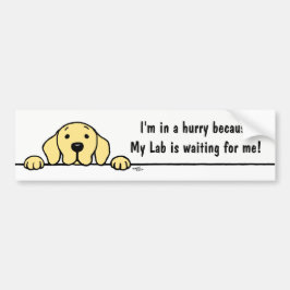 Yellow Labrador die je in de gaten houdt, Bumperst Bumpersticker
