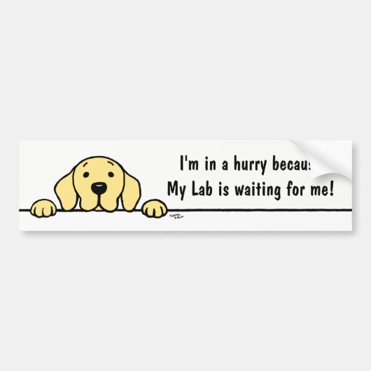 Yellow Labrador die je in de gaten houdt, Bumperst Bumpersticker (Voorkant)