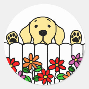 Yellow Labrador die naar je kijkt Ronde Sticker