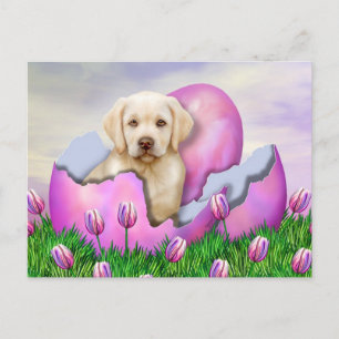 Yellow Labrador Easter Surprise Feestdagenkaart