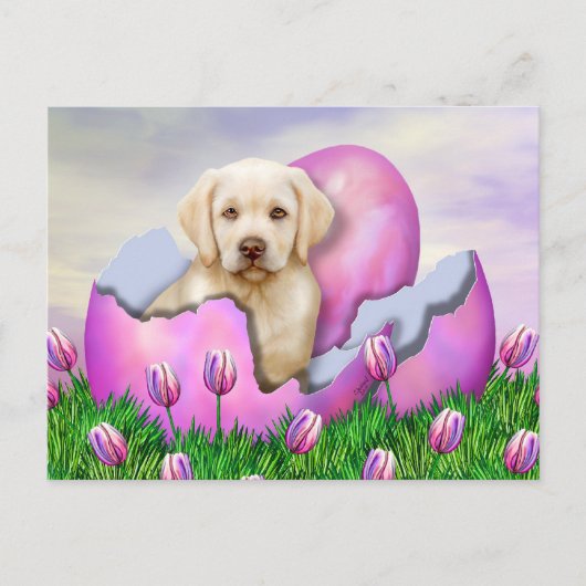 Yellow Labrador Easter Surprise Feestdagenkaart (Voorkant)