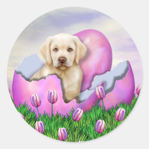 Yellow Labrador Easter Surprise Ronde Sticker