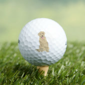 Yellow Labrador Golfballen (Insitu Shirt)