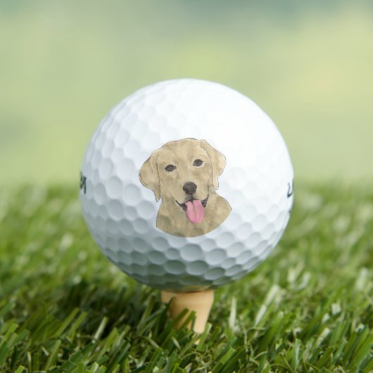 Yellow Labrador Golfballen (Insitu Shirt)