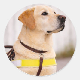 Yellow Labrador Guide Dog Graduation Envelope Seal Ronde Sticker