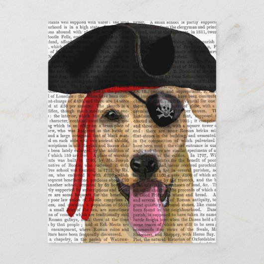 Yellow Labrador Pirate 2 Briefkaart (Voorkant)