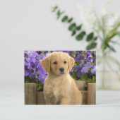 Yellow Labrador Puppy Briefkaart (Staand voorkant)