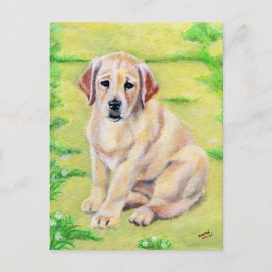 Yellow Labrador Puppy Briefkaart (Voorkant)
