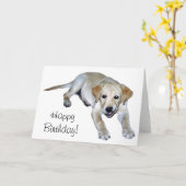 Yellow Labrador Puppy Kaart (Gele Bloem)