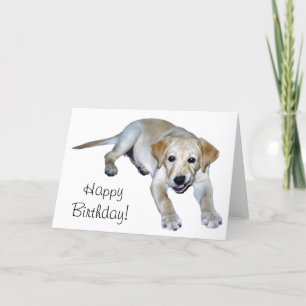 Yellow Labrador Puppy Kaart
