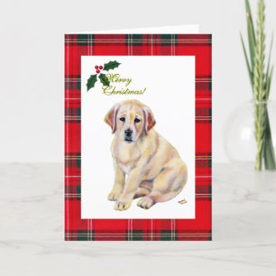 Yellow Labrador Puppy Tartan Kerstmis Feestdagen Kaart