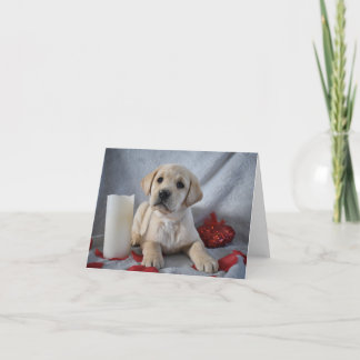 Yellow Labrador Puppy Valentijnsdag Bedankkaart