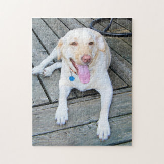 Yellow Labrador Puzzle Legpuzzel