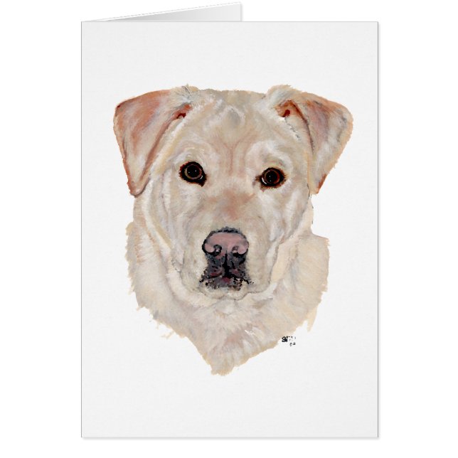 Yellow Labrador Retriever (Voorkant)