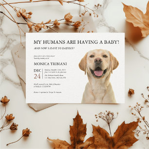 Yellow Labrador Retriever Baby shower Minimalist Kaart