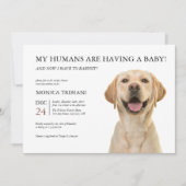 Yellow Labrador Retriever Baby shower Minimalist Kaart (Voorkant)