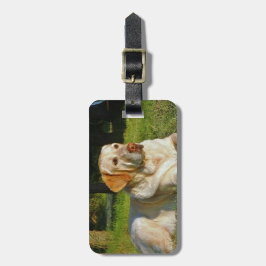 Yellow Labrador Retriever Bagagelabel (Voorkant verticaal)